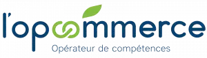 l'opcommerce